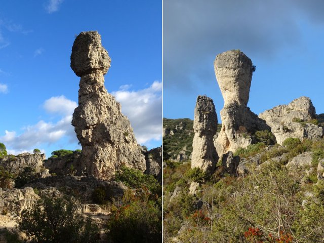 Prendre tout son temps pour visiter ce musée naturel unique