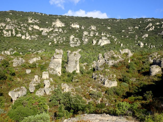 On domine de plus en plus le cirque