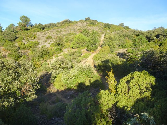 La montée au Moural Blanc est rapide