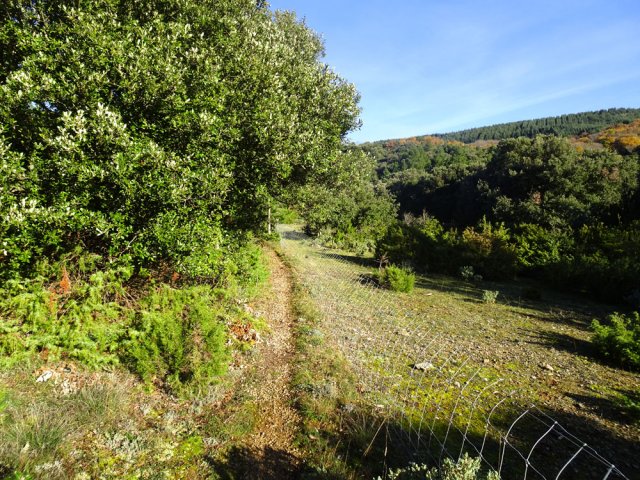Le sentier suit longuement les clôtures des parcs à moutons