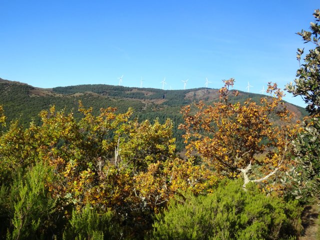 L'horizon est encombré de grandes éoliennes