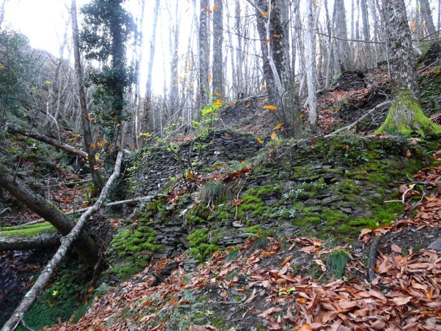 On retrouve des murets en pleine forêt