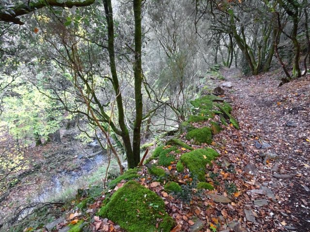 On suit un peu la rive droite de la Serremijeanne