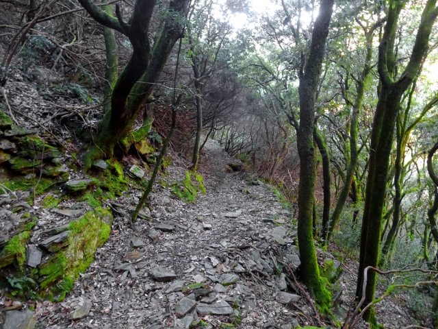 Nombreux raccourcis pour éviter la petite route