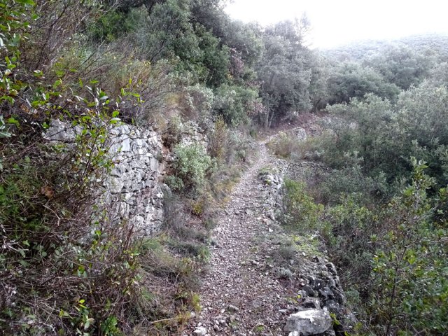 Le sentier monte lentement en frôlant encore des cultures