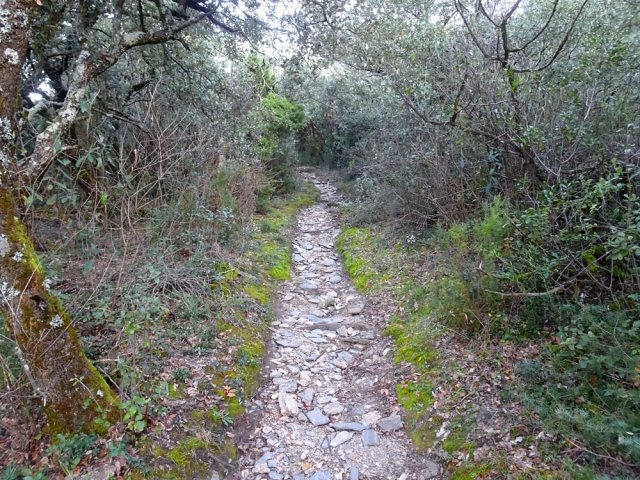 Le sentier devient de plus en plus pierreux