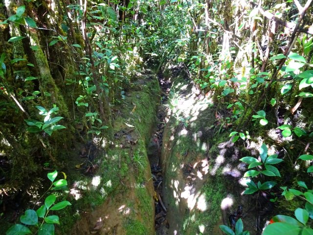 Le sentier emprunté est de même nature que le précédent