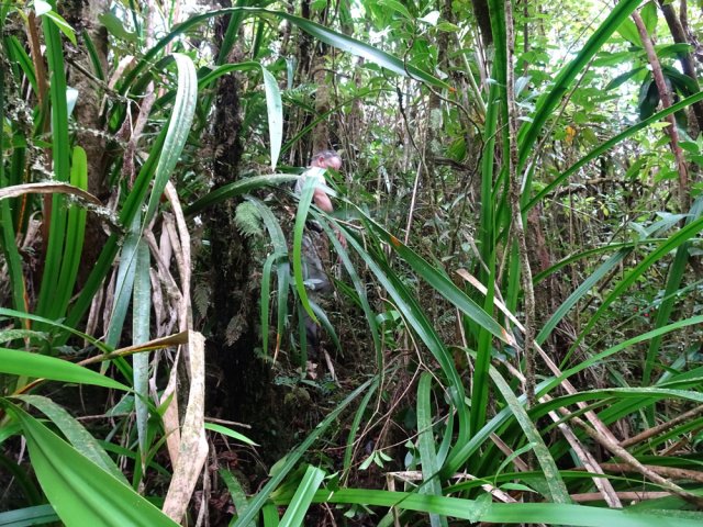 Fortes pentes parfois pour revenir au cours d'eau