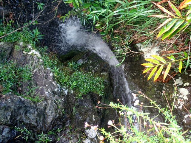 La petite cascade de la Ravine du Ruisseau, sous le pont