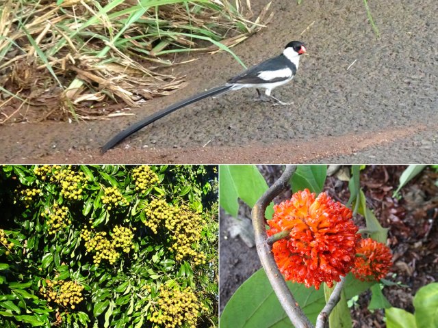 Il y a toujours à découvrir, même sur des boucles urbaines