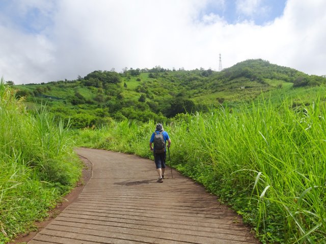 L'horizon est dominé par le Piton la Mare