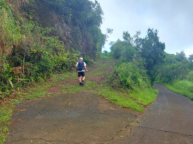 On quitte le Chemin Queue de Cheval pour les pistes dans les bois