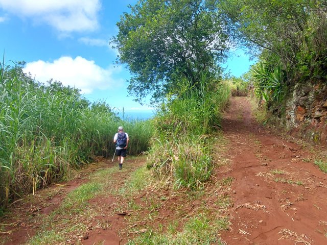 Virage très serré avant la Ravine Renone qu'il ne faut pas franchir