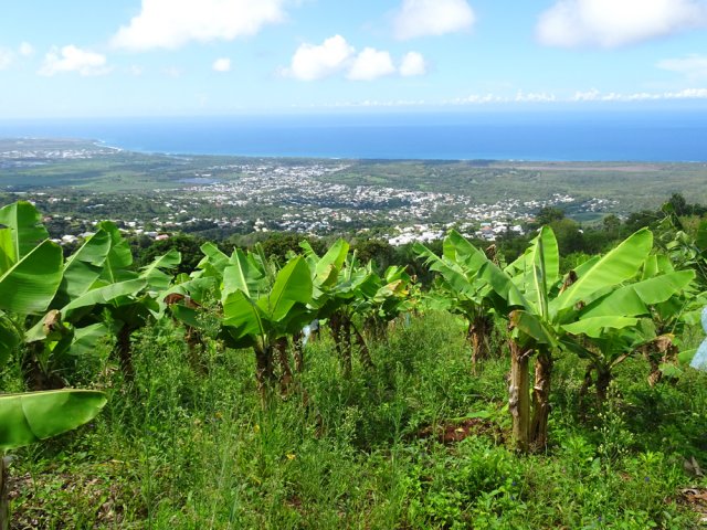 Beaux panoramas en direction de l'océan