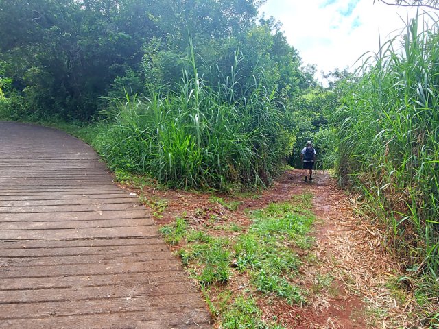 Nouvel embranchement pour quitter la route bétonnée