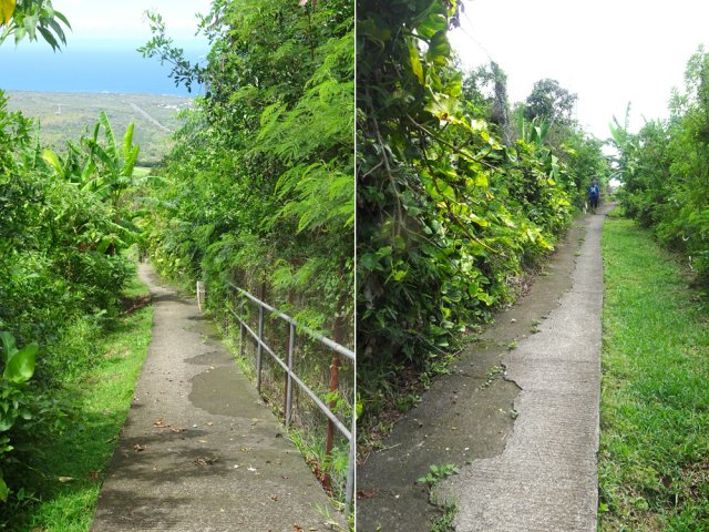 La pente est forte sur ce long raccourci avec vues sur la mer