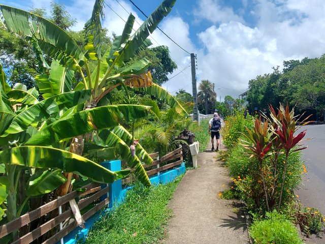 Un peu de verdure sur la fin du parcours en direction de l'église