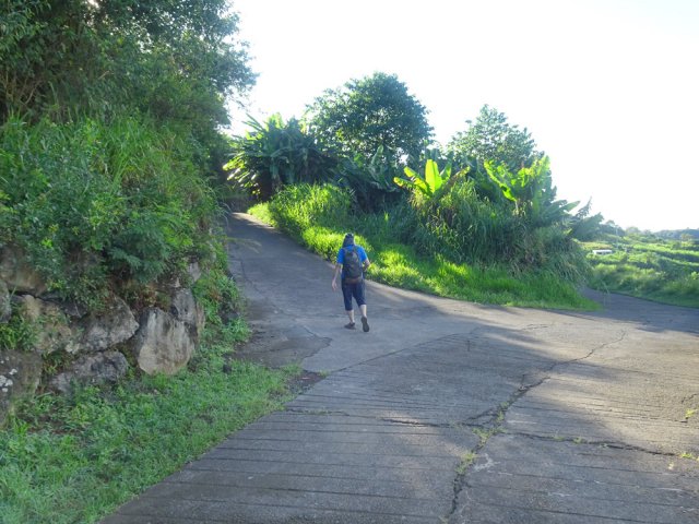 Au quartier des Bananes, prendre en direction de Bellecombe