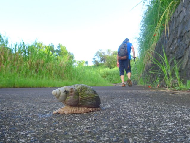 Lorsque la pente est forte, chacun en "bave" un peu