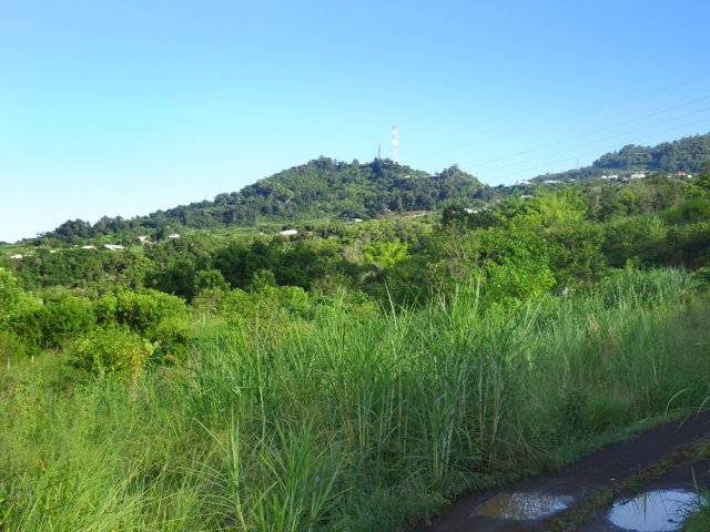 Panorama en direction du Piton du Calvaire au Plate