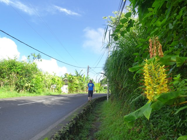 La RD3, en légère descente, est une balade de repos