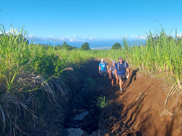 La boucle emprunte une piste défoncée par les ravinements