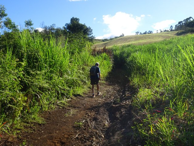Le chemin devient plus étroit aux premières prairies