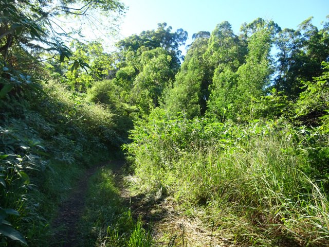 Arrivée à la zone de moto cross par le 4ème gué du Bras Cochon