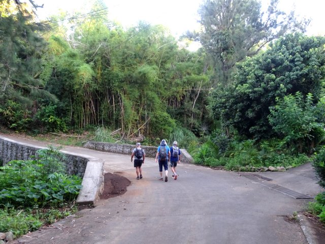 Suivre la Rue des Mûriers pour un premier franchissement du Bras Cochon