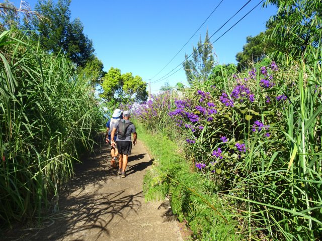 Le Chemin de la Bergerie, vue son étroitesse, ne doit pas être très fréquentée des véhicules