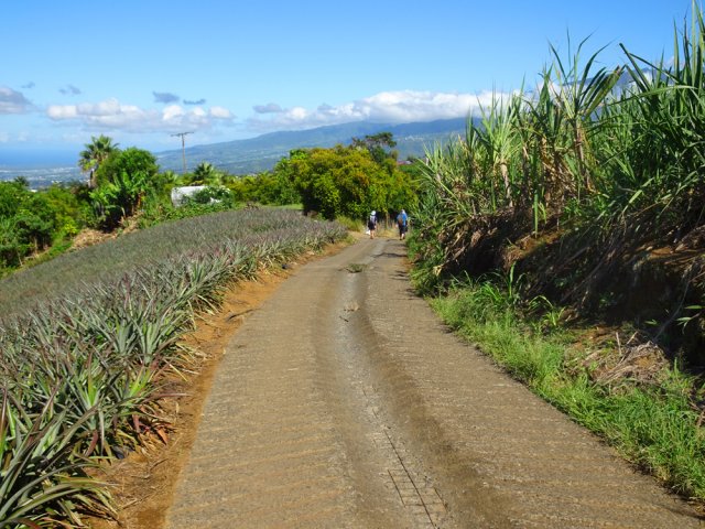 Longue rigole pour canaliser les eaux de pluie