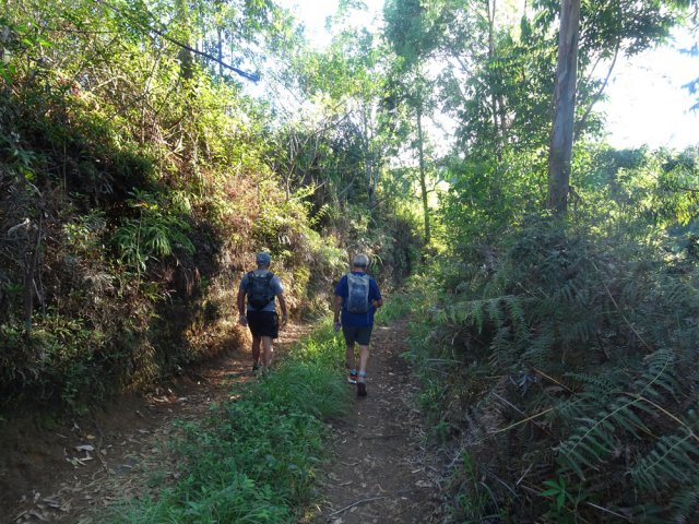 On quitte les ananas pour un chemin en sous-bois et un second gué du Bras Cochon