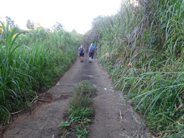 La montée se poursuit sur le Chemin Bois d'Osto