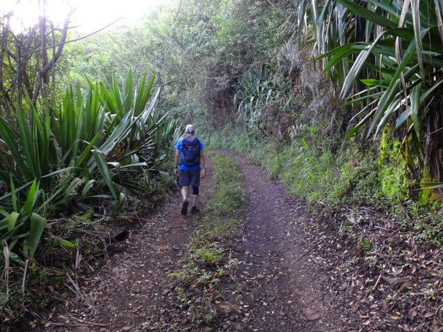 Quitter la route pour une piste en direction du troisième gué du Bras Cochon