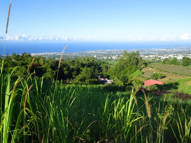 Multiples panoramas sur le Tampon et l'océan vers Saint-Pierre et Saint-Louis
