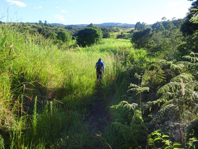 Une partie envahie par les herbes sur 30 m