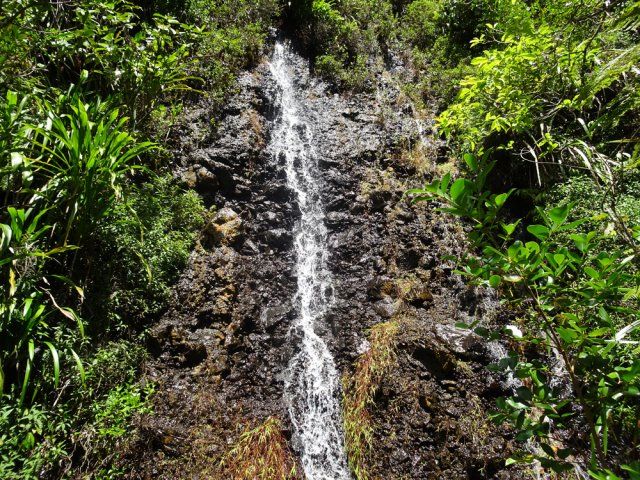 Une source à deux pas de la passerelle