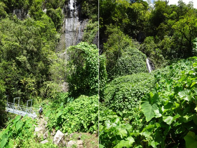 Nouvelle passerelle entre chouchous et songes