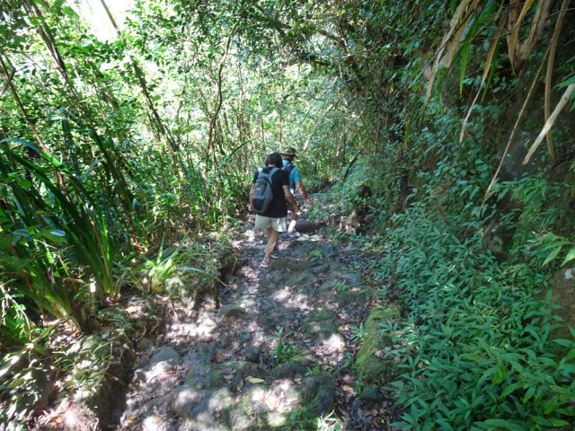 Les pierres peuvent être glissantes dans cette région très humide
