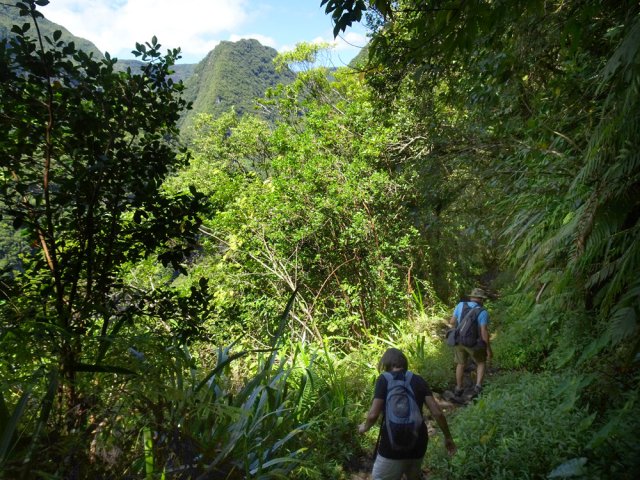 Les trouées sont rares pour profiter des paysages