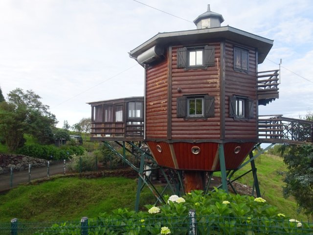L'habitation, très originale, bâtie autour d'un tronc d'arbre