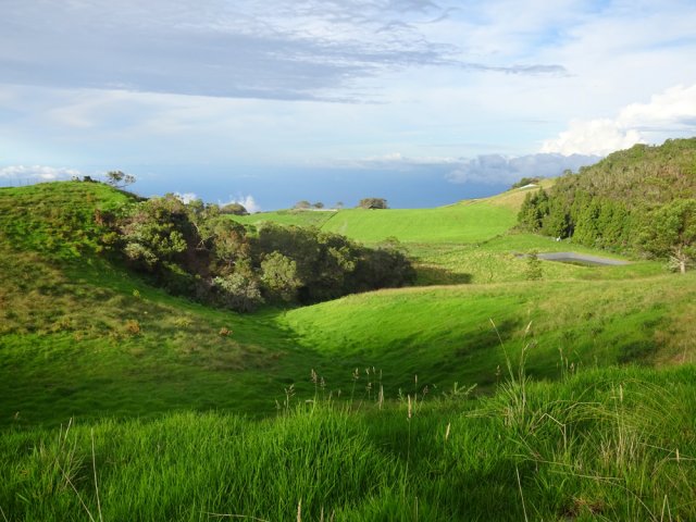 Paysage vallonné qui est reposant