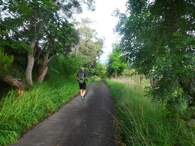 De nombreuses essences rarement rencontrées ailleurs