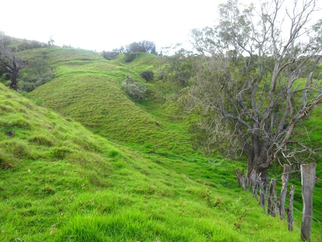 Durant toute la matinée on profite de la verdure