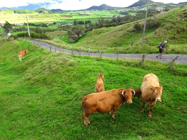 La route monte parfois fortement entre les prairies