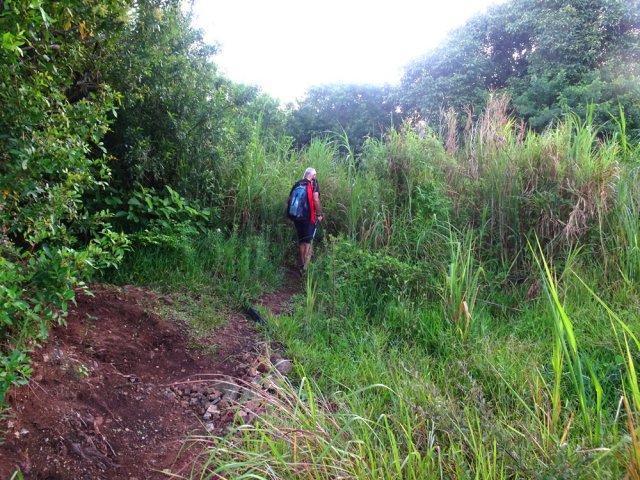 On peut rejoindre la piste par un sentier débutant très près du croisement