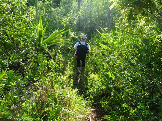 Nouveau sentier pour éviter la piste dans la descente