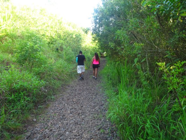 Bifurquer à gauche pour rallier le parc par un chemin caillouteux