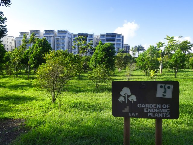 Grande plantation d'arbres endémiques de Maurice, pour les naturalistes amateurs