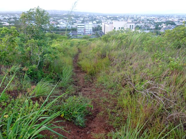 Il s'élève doucement en s'éloignant de la ville